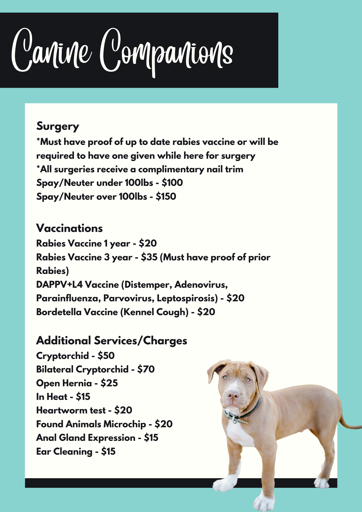 Spay and Neuter Pricing – Pet Refuge Animal Birth Control Clinic
